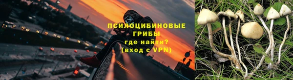 дурь Богородицк