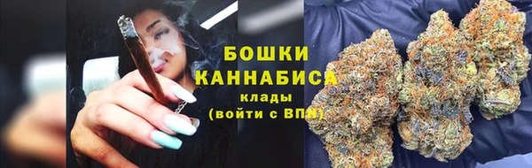 дурь Переславль-Залесский