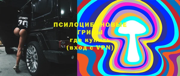 дурь Переславль-Залесский