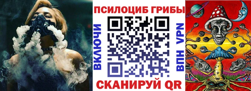 кракен ТОР Могоча Галлюциногенные грибы Psilocybine cubensis