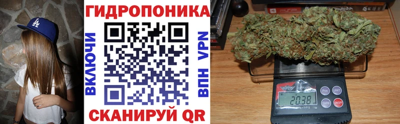 Канабис White Widow  Могоча 